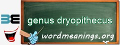 WordMeaning blackboard for genus dryopithecus